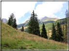 foto Da Forcella Montalon a Val Campelle